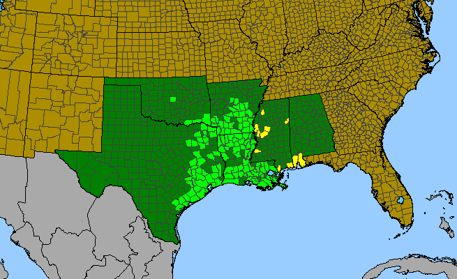 The range of Hymenocallis liriosme